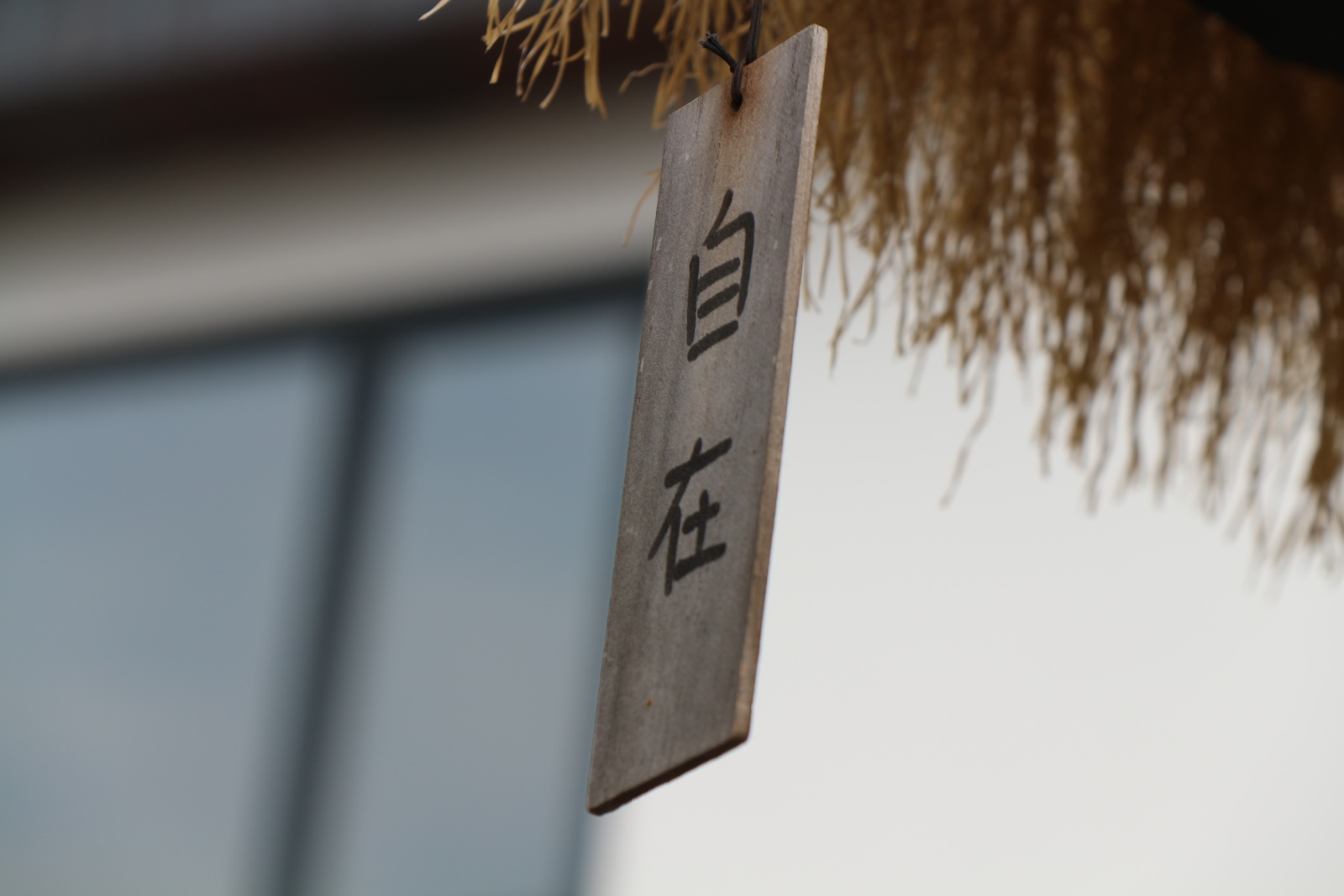 「休闲」带我走出去，之后…