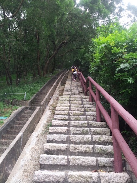 成长路上的学生