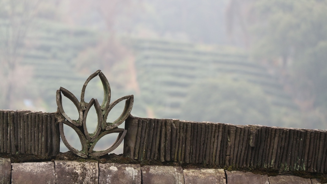 旅遊．發現・真實