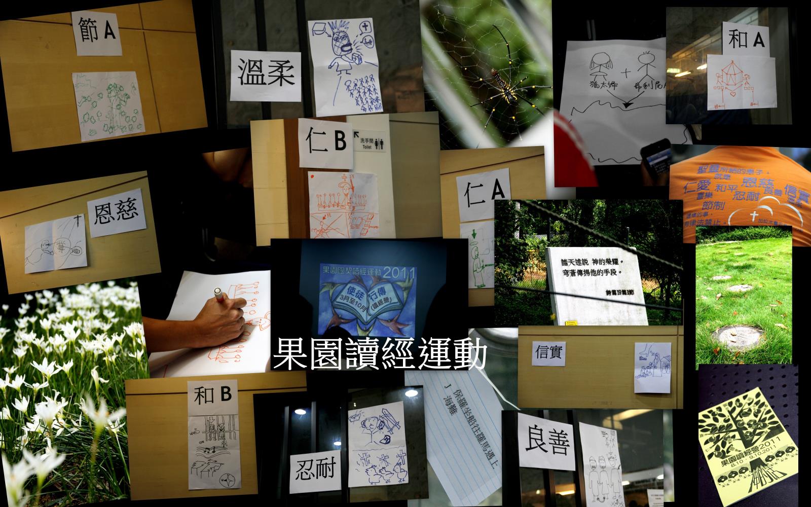 读经运动