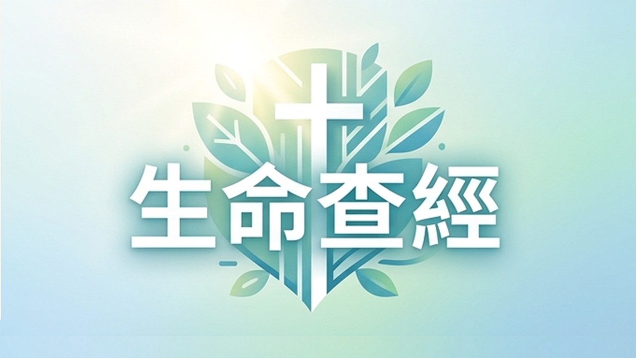 11月10日 生命查經